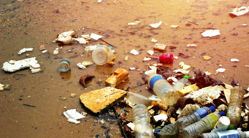 Plastic bottled water representing microplastic exposure